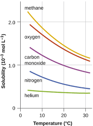 Gases are less soluble at higher temperature, illustrating an indirect relationship 3. Temperature Effects On The Solubility Of Gases Chemistry Libretexts