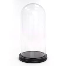 Large Glass Bell Jar Tjdc Tjdc