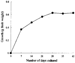 Growth Curve Of Kidney Bean Suspension Cells In Liquid Ms