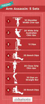 the 30 day calisthenics workout plan