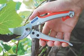 tools for pruning and cutting in the