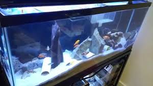 Ebay 48 Led Aquarium Light Review Cll Petsupplies Youtube