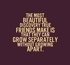 The most beautiful discovery true friends make is that they can grow separately without growing apart. Best Friends Growing Apart Quotes Quotesgram