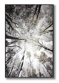 Lamplig Forest Wall Art Large Grey Tree