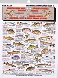 Cheap Fish Chart Australia Find Fish Chart Australia Deals