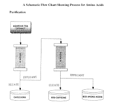 Us9266818b2 Process For Purification Of Free Bio Amino
