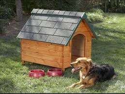 Outdoor Insulated Dog Kennel