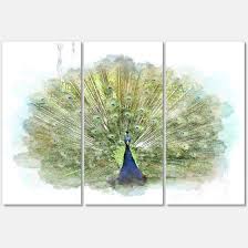 Peacock Bird Canvas Wall Art 3 Panels
