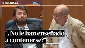 Gallardo (Vox) llama al PSOE "banda criminal liderada por Sánchez" en las  Cortes de Castilla y León - YouTube