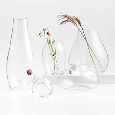 Regen Clear Blown Glass Vases Crate
