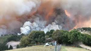 Women looking for men 86697. South Africa 10 000 Knysna Residents Evacuated Amid Fire Bbc News