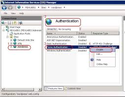 iis authentication plugin for the
