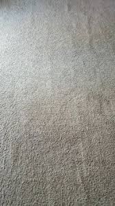 carpet stain removal in fort wayne