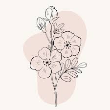 flower line drawing images free