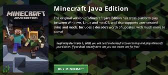 Realms are servers offered directly through mojang. Minecraft Java Vs Bedrock What S The Difference