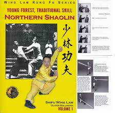 shaolin temple boxing kung fu