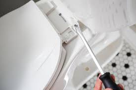How To Remove Or Replace A Toilet Seat