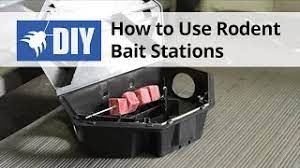 how to use rodent bait stations video