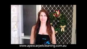 carpet cleaning gold coast video review