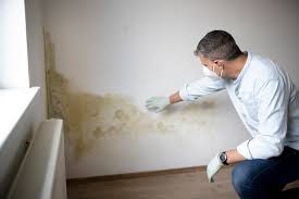 mold in your walls it can damage your