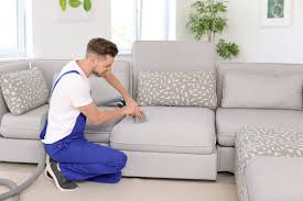 couch cleaning images browse 181 063