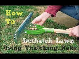 to dethatch lawn using a thatching rake