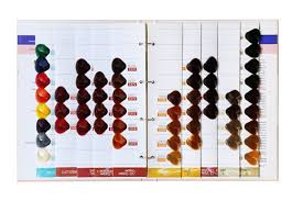Hair Color Chart For Salon Hair Color Swatch Book Hair Dye