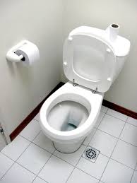 Dual Flush Toilet Save Heat