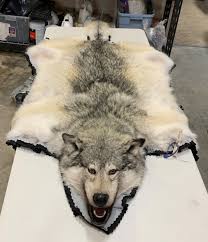 gray wolf rug alaska wilderness arts