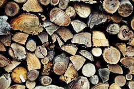 Best Wood To Burn In Your Wood Stove