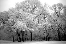 Resultado de imagen de imagenes de invierno en blanco y negro