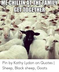 Are you or are you not the black angel of death? Mechillin At The Family Get Together Pin By Kathy Lydon On Quotes Sheep Black Sheep Goats Family Meme On Me Me