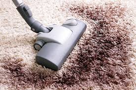 carpet cleaners winchester va
