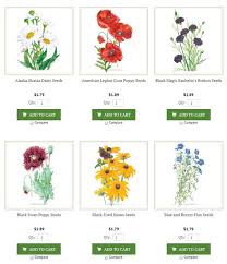 Perennial Flower Seeds To Sow In Fall