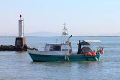 Image result for uses of Fishing Boats
