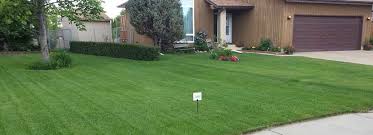 We did not find results for: Lawn Care Edmonton Weed Control Fertilizer Service