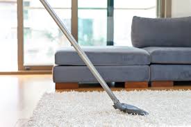 services next level carpet cleaning
