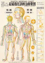73 Extraordinary Shiatsu Massage Chart