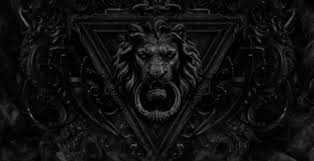 wallpaper lion muzzle dark desktop