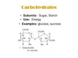 carbohydrates powerpoint presentation