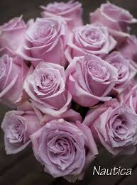 Pin By Flirty Fleurs On A Flirty Fleurs Rose Color Studies
