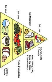 Draw A Food Pyramid On A Chart Paper Collect Pictures Of