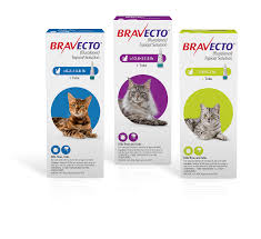 Bravecto Topical Solution For Cats Pet Vm