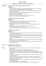 Can't find what you are looking for? It Service Management Resume Samples Velvet Jobs