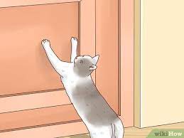 How To Keep Cats Out Of Rooms 12 Steps