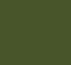 Premium Range Nippon Paint Olive Green