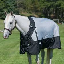 horse blankets worth investing in