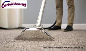 hire professionals for carpet cleaning