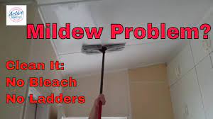 clean mildew from ceilings and walls in