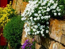 Gardening In Retaining Walls How To